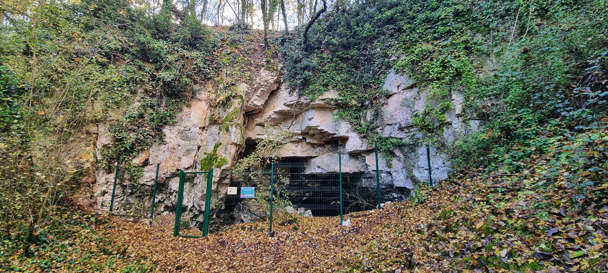 © Alexandre Cartier