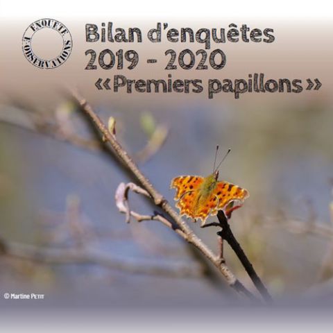 Bilan d'enquête 2019-2020 