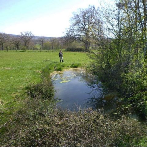 Comment se portent les mares dans l’Yonne et la Nièvre ? Diagnostic ! @© J. LEFEVRE