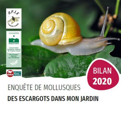 Bilan d'enquête 2020 