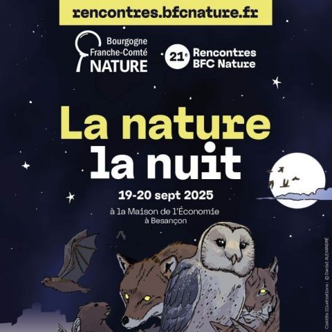  @BFCN